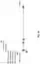 Fig. 41 - ANTIBODY PRODUCING NON-HUMAN ANIMALS