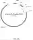 Fig. 92 - ANTIBODY PRODUCING NON-HUMAN ANIMALS
