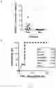 Fig. 08 - Methods based on the detection of RAD51 foci in tumor cells