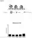 Fig. 02 - Diagnostic test for hepatocellular carcinoma