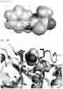 Fig. 06 - Molecules and methods for iterative polypeptide analysis and processing