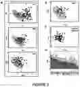Fig. 03 - TREATING SCHIZOPHRENIA BASED ON A PANEL OF BIOMARKERS