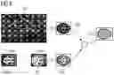 Fig. 04 - MAGNETIC RESONANCE IMAGING AND MOTION DETECTION