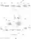 Fig. 08 - Systems and methods for radar based face authentication anti-spoofing