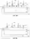 Fig. 65 - Light-sensing apparatus and light-sensing method thereof