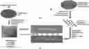 Fig. 01 - Rapid prototyping of single-photon-sensitive silicon avalanche photodiodes