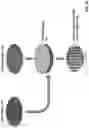 Fig. 02 - Rapid prototyping of single-photon-sensitive silicon avalanche photodiodes