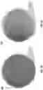 Fig. 06 - Rapid prototyping of single-photon-sensitive silicon avalanche photodiodes