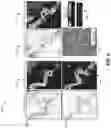 Fig. 07 - Systems and methods for estimating a likelihood of an object element in a given position in a subsurface volume of interest