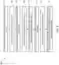 Fig. 05 - Correcting distortions