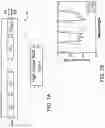 Fig. 09 - Wavelength division multiplexing filter for multiplexing or demultiplexing using cascaded frequency shaping