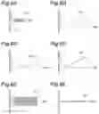 Fig. 07 - Mirror device, mirror drive method, light irradiation device, and image acquisition device