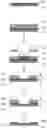 Fig. 01 - Method of forming patterned polyimide layer