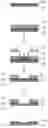 Fig. 02 - Method of forming patterned polyimide layer