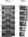 Fig. 01 - Negative resist formulation for producing undercut pattern profiles