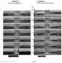 Fig. 07 - Negative resist formulation for producing undercut pattern profiles