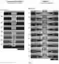 Fig. 08 - Negative resist formulation for producing undercut pattern profiles