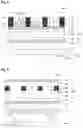 Fig. 03 - Photosensitive composition and color converting film