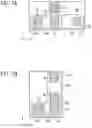 Fig. 07 - SEMICONDUCTOR LIGHT-EMITTING DEVICE, EXPOSURE HEAD, AND IMAGE FORMING APPARATUS