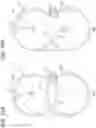 Fig. 12 - Image forming apparatus