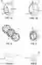 Fig. 02 - DIGITAL FACE-CHANGING WALL CLOCK