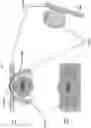 Fig. 46 - Occupant supports and virtual visualization & navigation