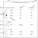 Fig. 01 - Configurable virtual machines
