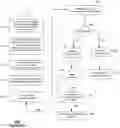 Fig. 09 - Transferral of process state and/or components in computing environments