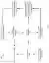 Fig. 06 - Soft chip-kill recovery for multiple wordlines failure