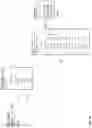 Fig. 09 - DATA CLUSTERING, SEGMENTATION, AND PARALLELIZATION