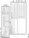 Fig. 28 - DATA CLUSTERING, SEGMENTATION, AND PARALLELIZATION