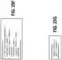 Fig. 35 - Managing data objects for graph-based data structures