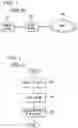 Fig. 02 - SEARCHING RESTRICTED CONTENT ON A NETWORK