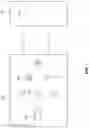 Fig. 08 - Process for creating a fixed length representation of a variable length input