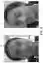 Fig. 08 - Biometric user authentication