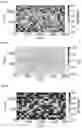 Fig. 08 - METHOD OF EXPLOITING A FRACTURED OIL RESERVOIR HAVING A HETEROGENEOUS PORE SIZE