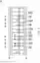 Fig. 06 - Integrated circuit, system for and method of forming an integrated circuit