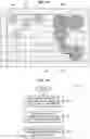 Fig. 09 - Texture classification of digital images in aerial inspection
