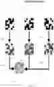 Fig. 11 - Detection of images in relation to targets based on colorspace transformation techniques and utilizing infrared light