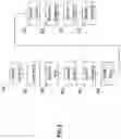 Fig. 03 - Web-Based System and Method for Incorporating Georeferenced Imagery Into CAD Environment