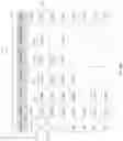 Fig. 07 - Determining and using brand information in electronic commerce