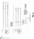Fig. 03 - Experience optimization
