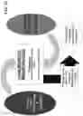 Fig. 07 - System and method for centralized clearing of over the counter foreign exchange instruments