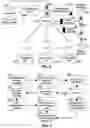 Fig. 03 - HETEROGENEOUS REGISTRAR DATA RETRIEVAL FOR MULTI-CAMPUS TUTOR MATCHING