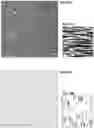 Fig. 43 - Artwork generated to convey digital messages, and methods/apparatuses for generating such artwork