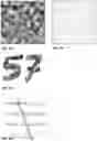Fig. 47 - Artwork generated to convey digital messages, and methods/apparatuses for generating such artwork