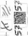 Fig. 49 - Artwork generated to convey digital messages, and methods/apparatuses for generating such artwork