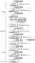 Fig. 01 - Node topology employing command and data buffers for executing thread scheduling