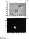 Fig. 05 - System and method for detecting plant diseases
