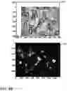 Fig. 06 - System and method for detecting plant diseases